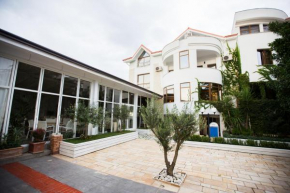 Vila Arber